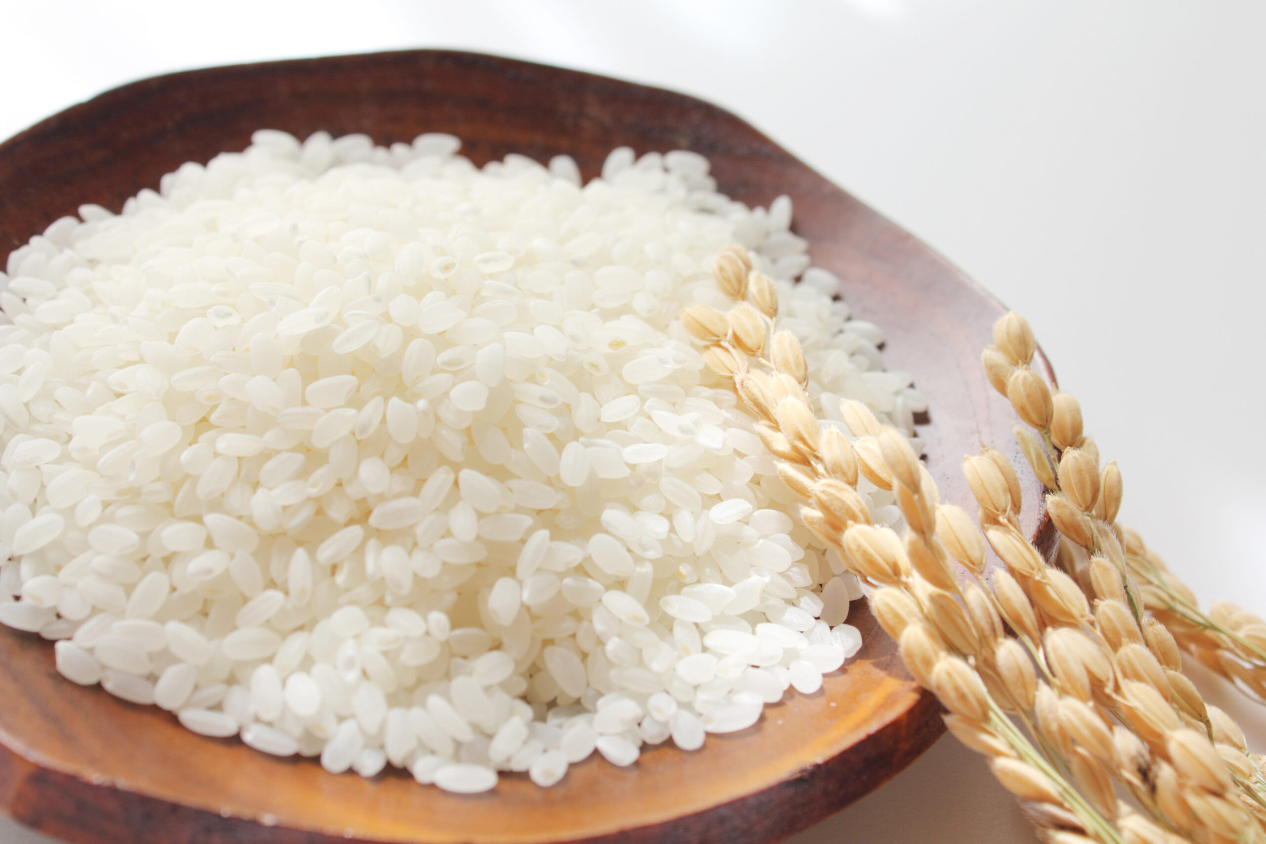 あきたこまちＲ