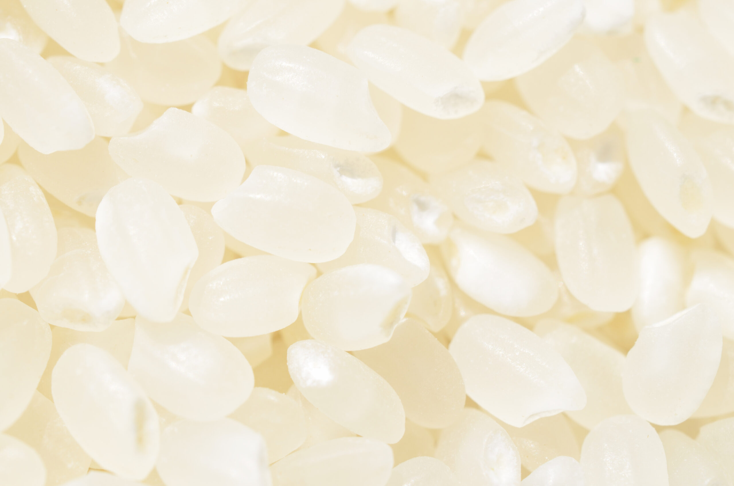 にじのきらめき