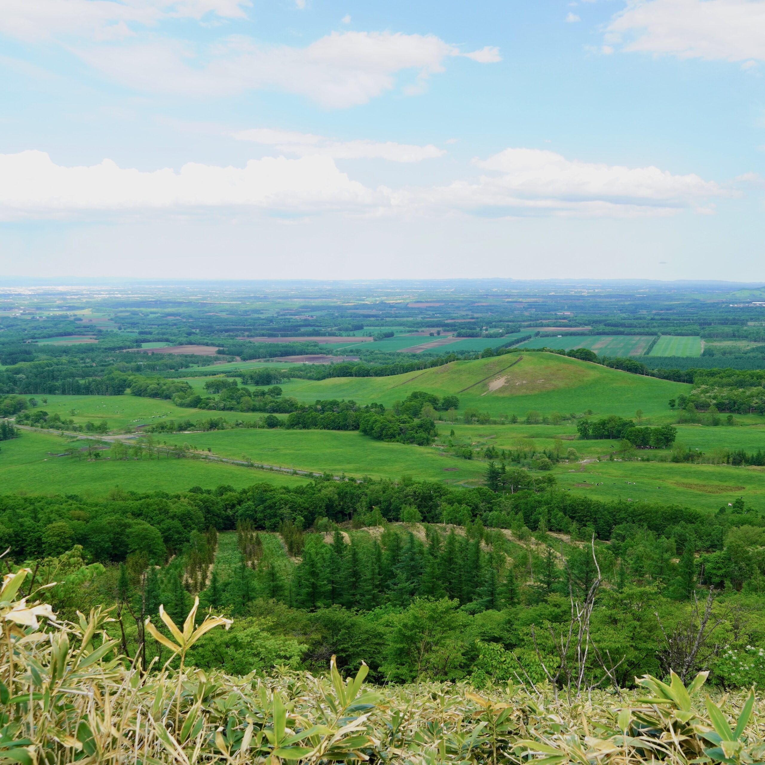 山海が育む実り