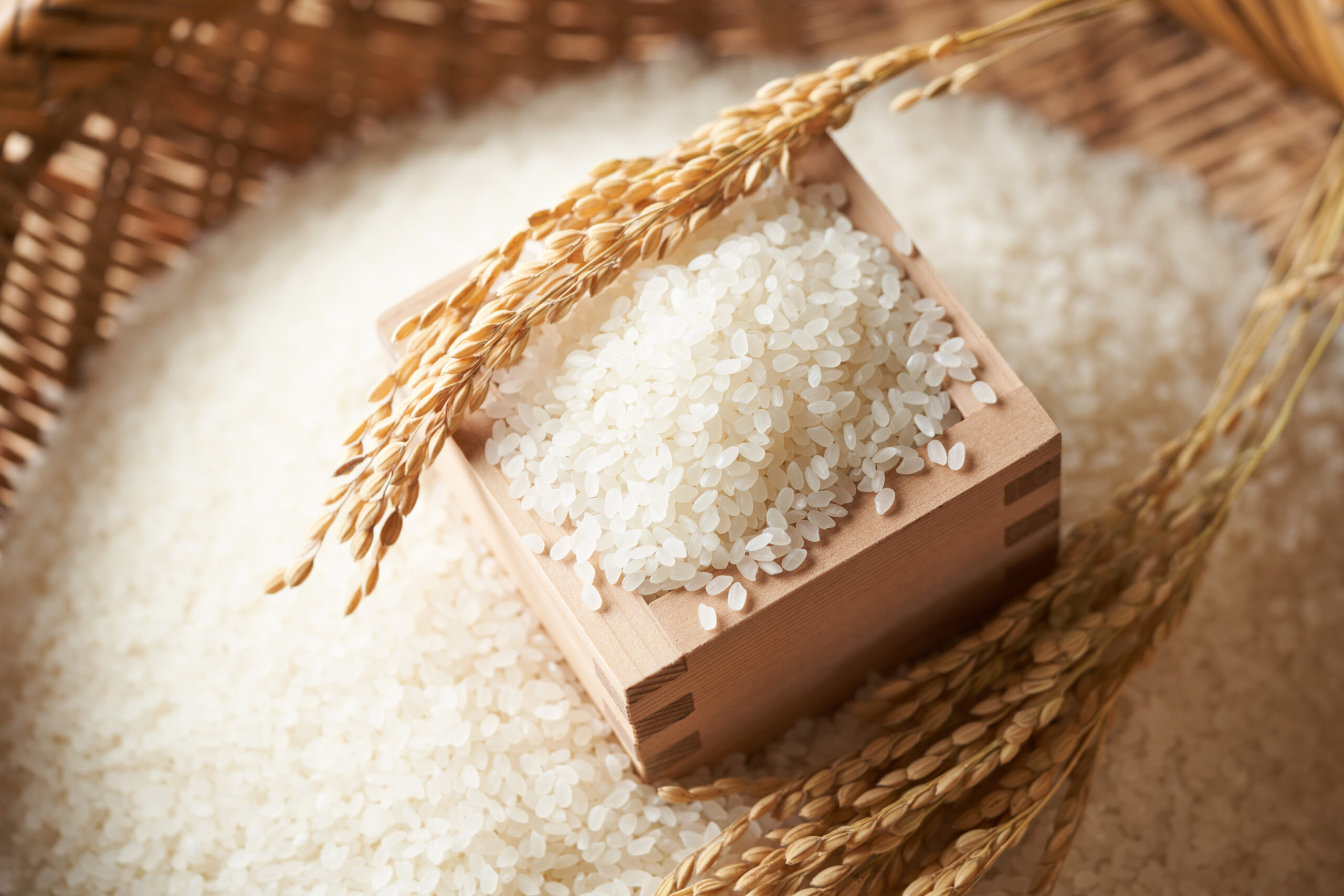 安全を守る正直な作物