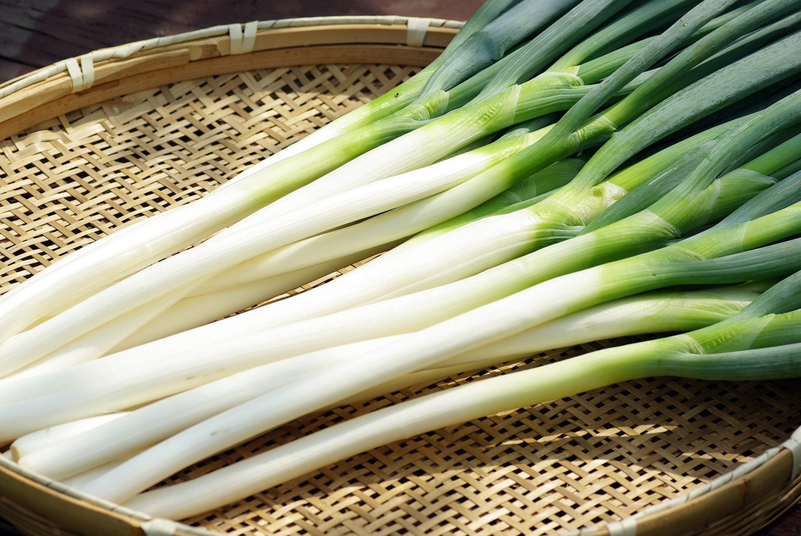 新鮮で甘みがある秋冬ねぎ