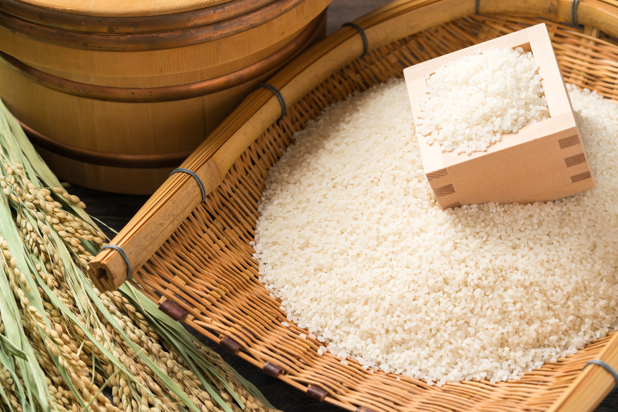 あきたこまちＲ・つきあかり・にじのきらめき